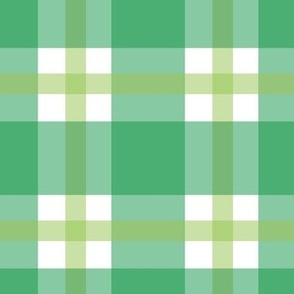 Double check gingham - bright green and leaf green - large scale