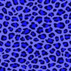 animal print leopard blue 2