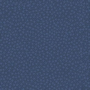 denim blue / textured background for Paisley collection