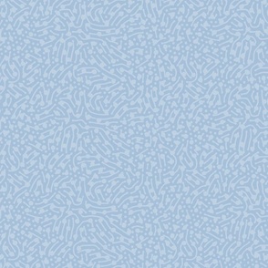 baby blue / textured background for Paisley collection