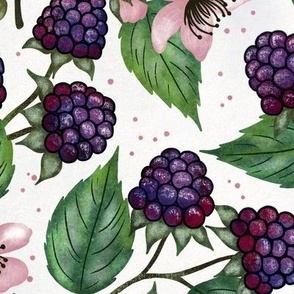 Blackberries on Branch  blush pink white background L scale