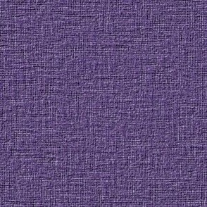 Woven Linen Textured Casual Fun Neutral Interior Monochromatic Purple Blender Earth Tones Grape Purple Violet 584387 Subtle Modern Abstract Geometric