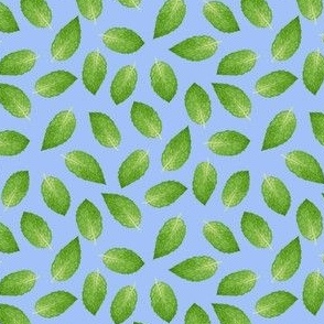 Peppermint Leaves on Periwinkle