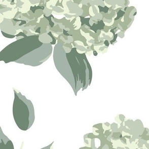 Large green hydrangea