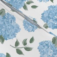 Felicity hydrangea blue, white, and green