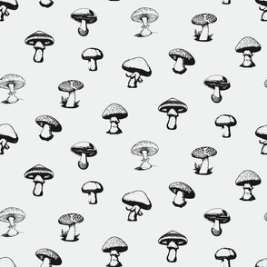 Mushroom Sketches on Solid Off White Background