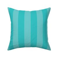 Aqua and Faded Aqua 2 Inch Vertical Cabana Stripes