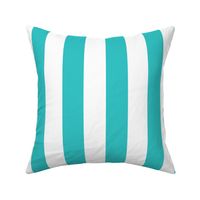 Aqua and White 2 Inch Vertical Cabana Stripes