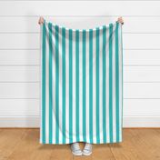 Aqua and White 2 Inch Vertical Cabana Stripes