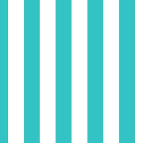 Aqua and White 2 Inch Vertical Cabana Stripes