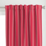 Dark Pink and Faded Dark Pink 2 Inch Vertical Cabana Stripes