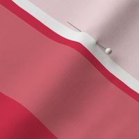 Dark Pink and Faded Dark Pink 2 Inch Vertical Cabana Stripes