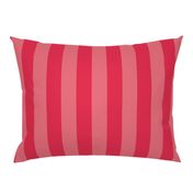 Dark Pink and Faded Dark Pink 2 Inch Vertical Cabana Stripes