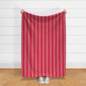 Dark Pink and Faded Dark Pink 2 Inch Vertical Cabana Stripes