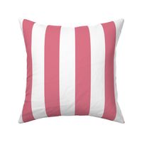 Dark Pink and White 2 Inch Vertical Cabana Stripes