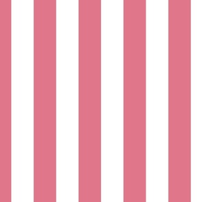 Dark Pink and White 2 Inch Vertical Cabana Stripes