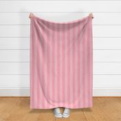 Pink and Faded Pink 2 Inch Vertical Cabana Stripes