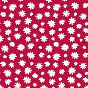 White Daisy on Red