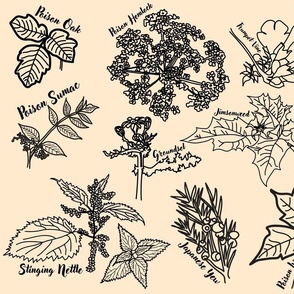 Poisonous Plants of Tennessee