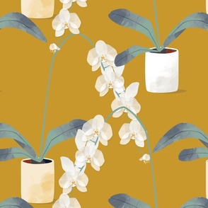 Orchids in pots gold