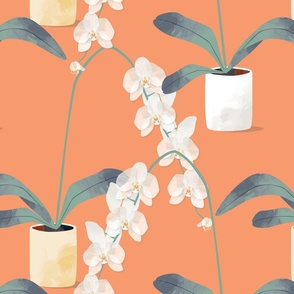 Orchids in pots apricot
