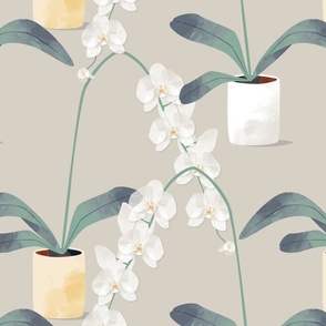 Orchids in pots natural background