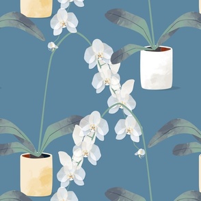 Orchids in pots blue