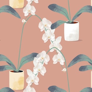 Orchids in pots natural pink