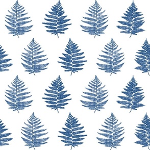 Ferns of the Pacific Northwest in Shibori Style 