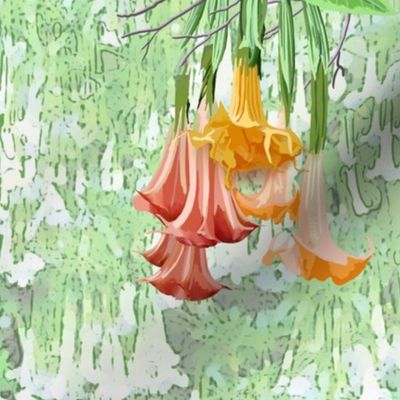 Angels Trumpet - Don’t Eat This!