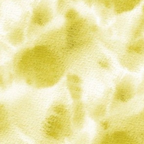 Mustard watercolor wash texture - painted golden abstract for modern home decor a525-7