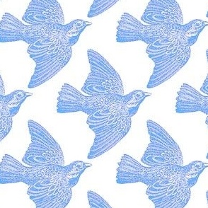 Blue Bird Pattern 1