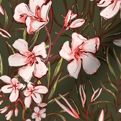 Nerium oleander plant