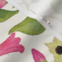 Belladonna, floral water color pattern, botanicalpattern