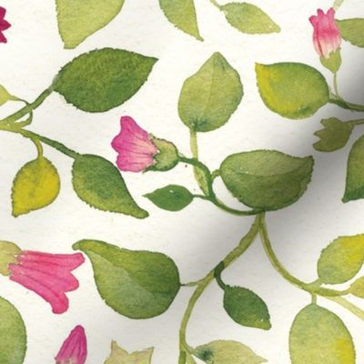 Belladonna, floral water color pattern, botanicalpattern