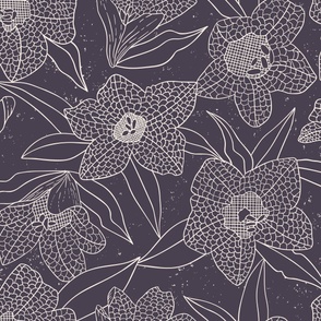 Black Henbane Line Art Flowers