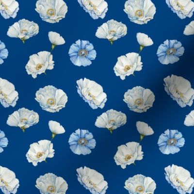 Blue poppies on blue background