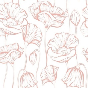 Sketch poppies