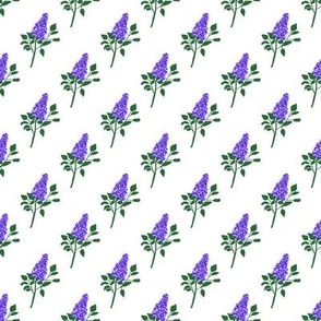 lilac flowers 3-03
