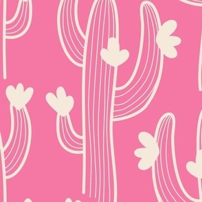 2623 E Medium - Blooming cactus, pink