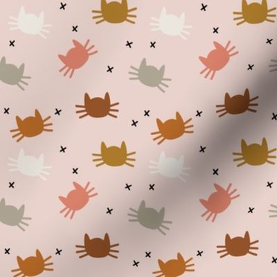 small whisker cats: cinnamon, pumpkin, dirty apricot, cider on pink