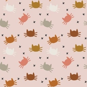 small whisker cats: cinnamon, pumpkin, dirty apricot, cider on pink