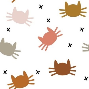 whisker cats: cinnamon, pumpkin, dirty apricot, cider