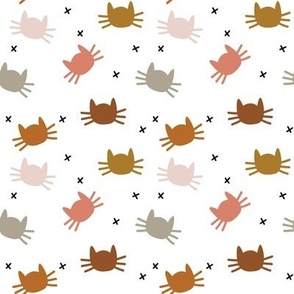 small whisker cats: cinnamon, pumpkin, dirty apricot, cider