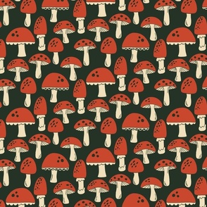 Little Mushrooms