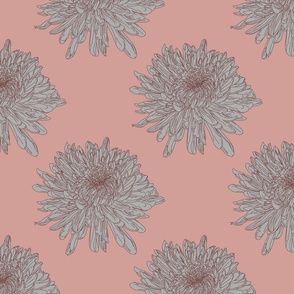 Chrysanthemum Blush Pink and Grey