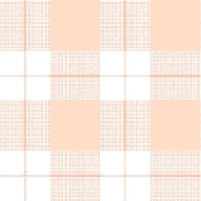 Modern check in Peach - medium scale