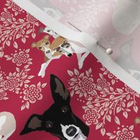 Italian Greyhounds in a field of viva magenta flowers small print