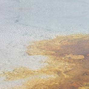 YNP Hot Springs