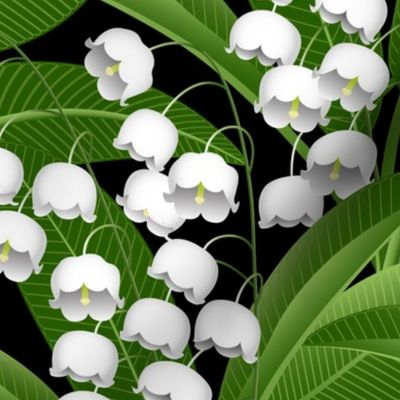 White Lily of the Valley Plants // Poisonous Plant Botanical // Black Background // 600 DPI